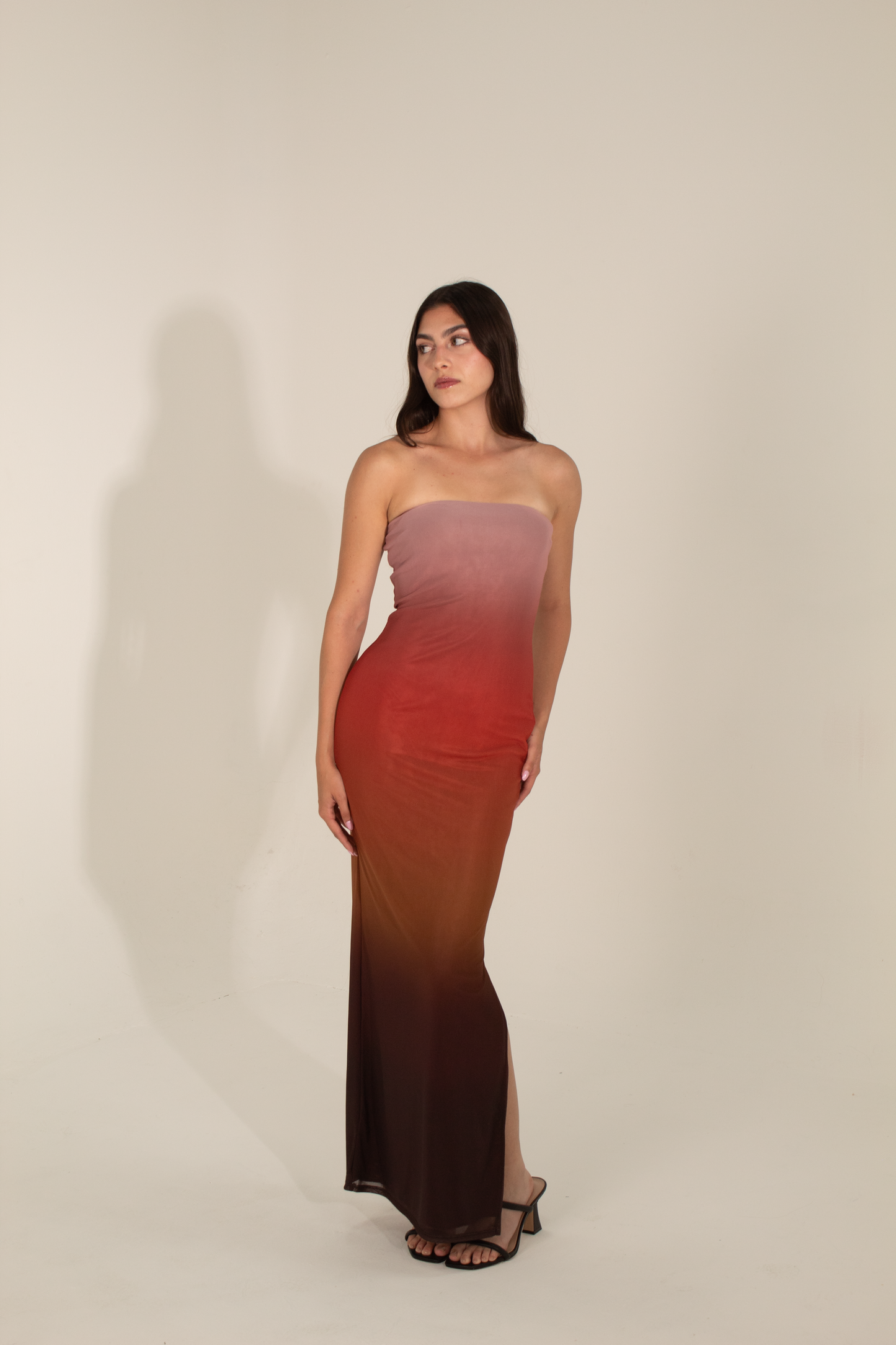 Gradient Mesh Bodycon Dress