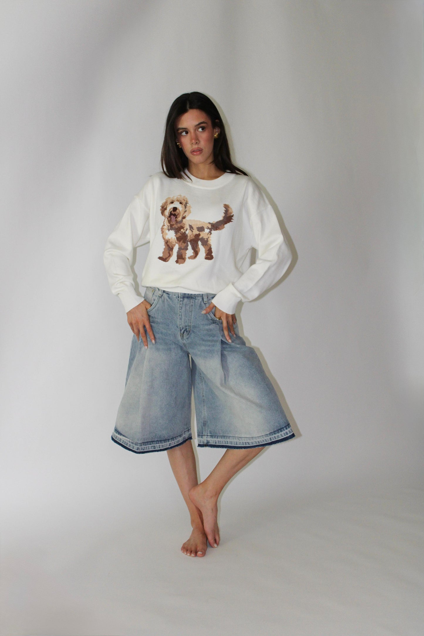 Beige Golden-Doodle Knitted Sweater