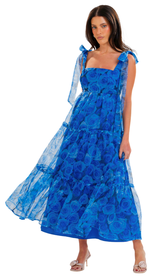 Blue Roses Dress