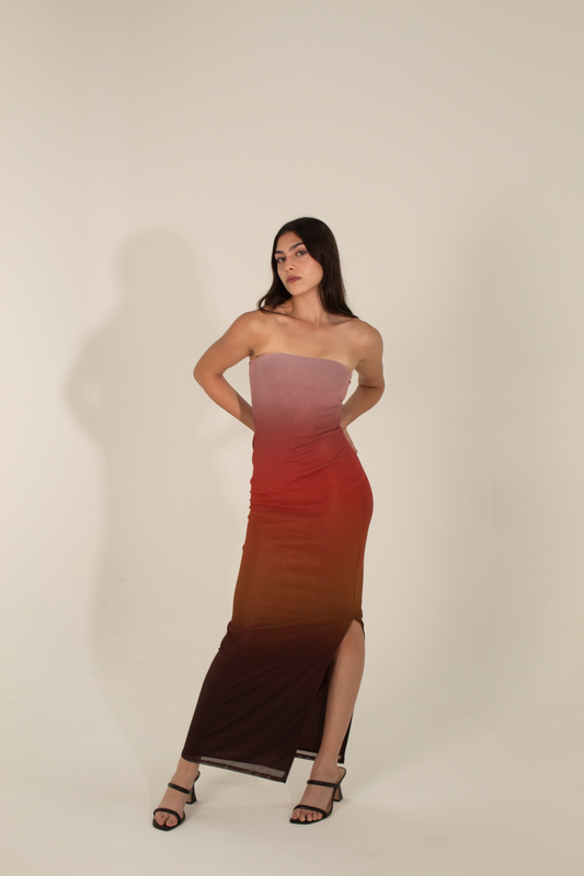 Gradient Mesh Bodycon Dress