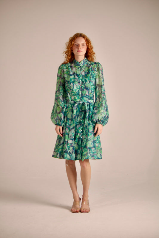 DRESS WITH SPARKLING EYES