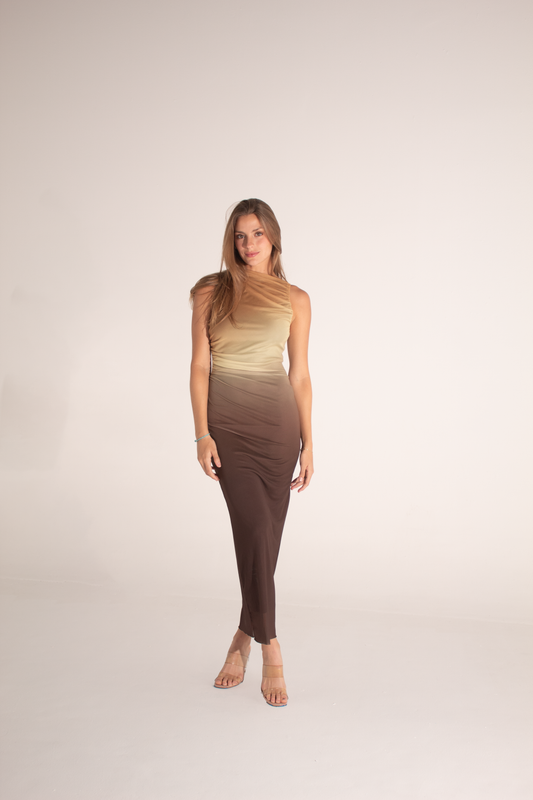 The Gradient Cowl Neck Dress PREORDEN